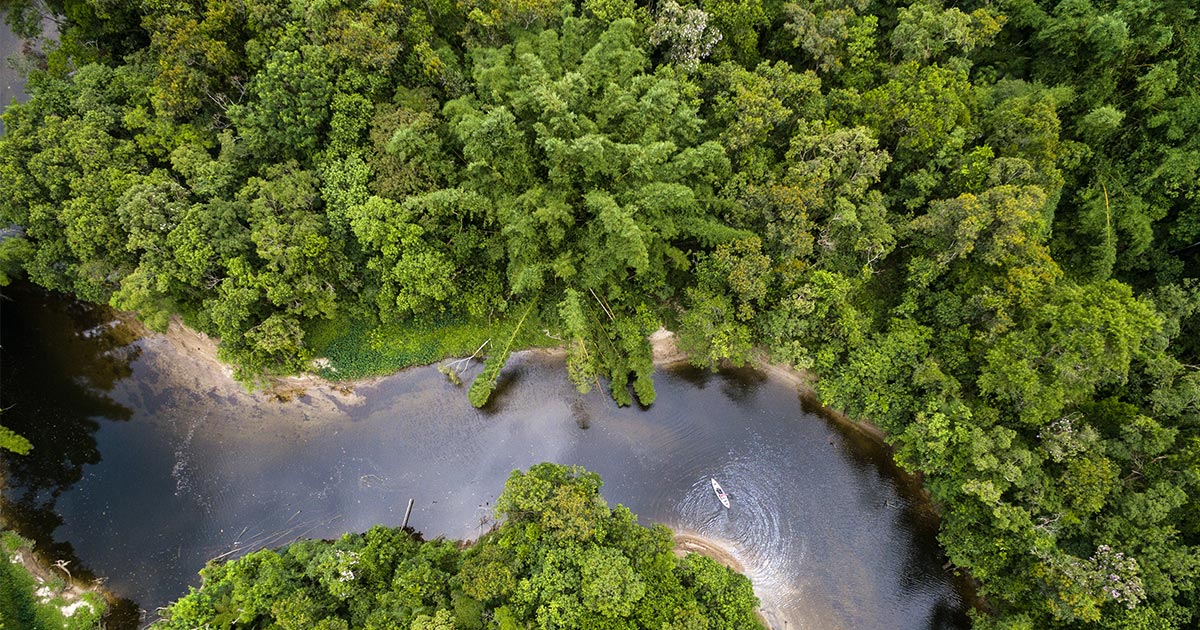 Le monde s’engage à enrayer la déforestation d’ici 2030 !