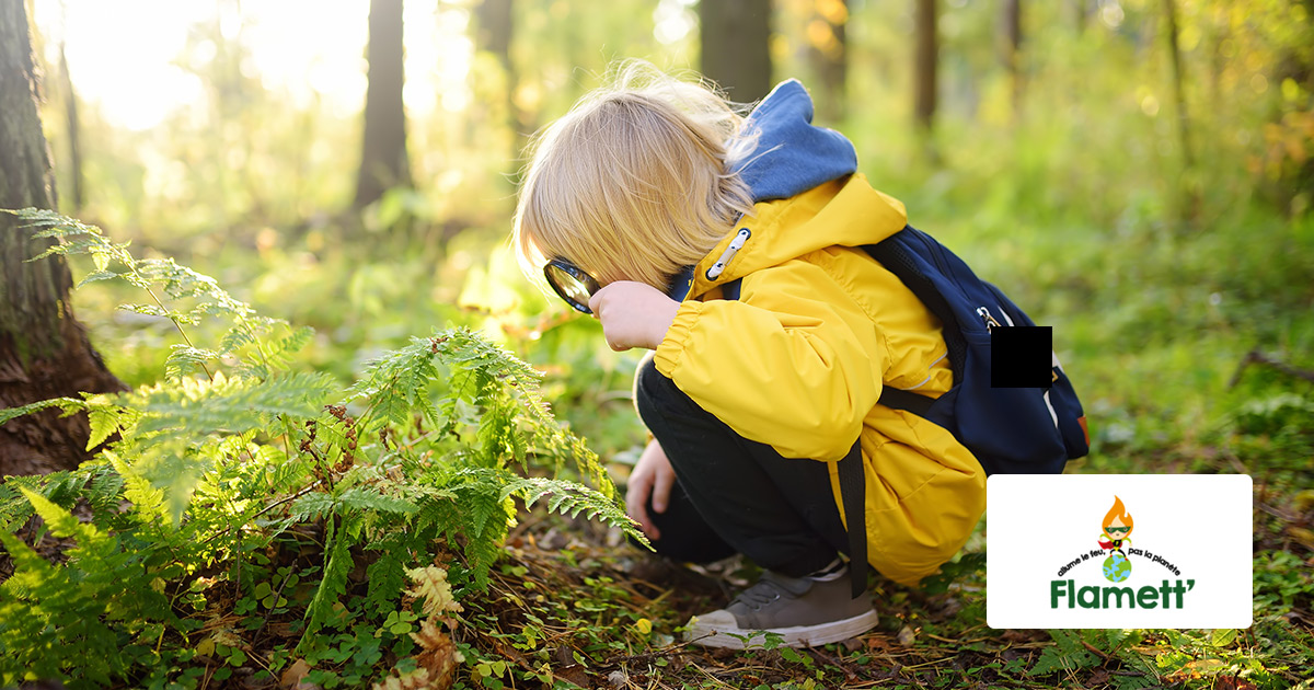 Une forêt gérée durablement, ça veut dire quoi exactement ?